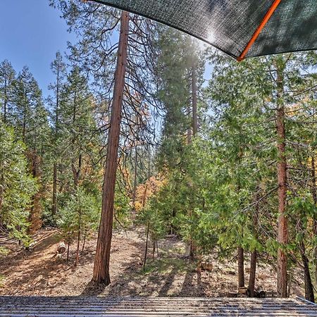 Quiet Twain Harte Cabin With Deck And Forest Views! Eksteriør billede