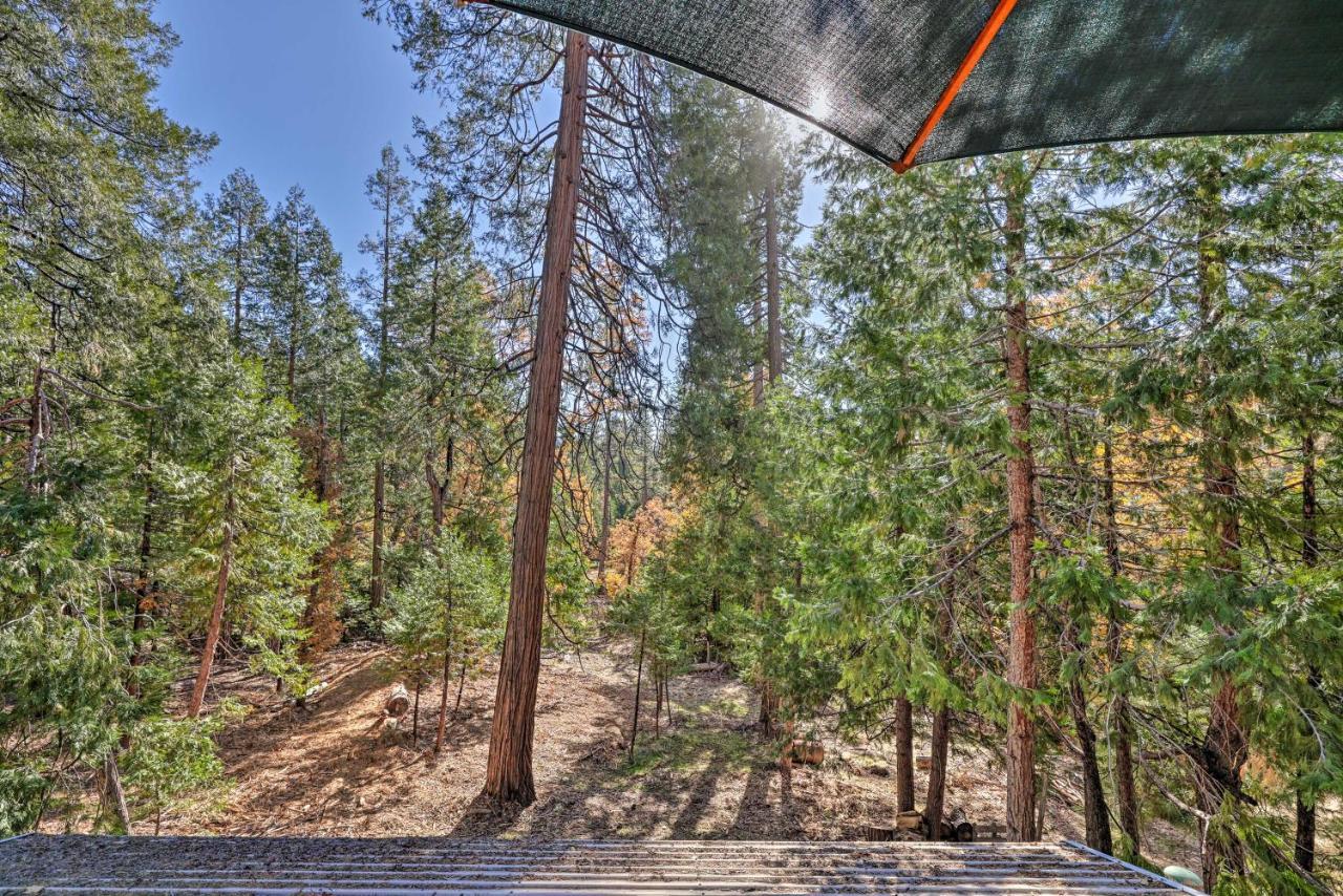 Quiet Twain Harte Cabin With Deck And Forest Views! Eksteriør billede